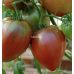 Tomato Purple Heart