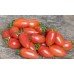 Tomato Maglia Rosa
