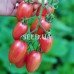 Tomato Maglia Rosa