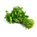 Parsley Amsterdam