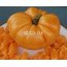Haman Orange