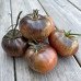 Tomato The Thong Dwarf