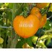 Orange Strawberry