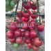 Murzilka F1