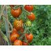 Variegated plum