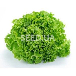 Salad Snowflake 2 g Salad Snowflake 2 g