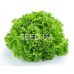 Salad Snowflake 2 g