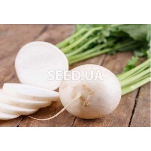 White radish White radish