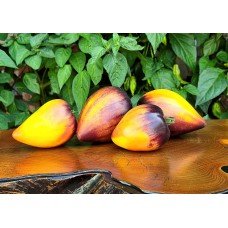 Sergeant Pineapple Tomato Seeds, 10 Seeds