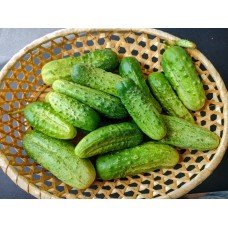 Cucumber seeds Rodnichok F1 20 pcs