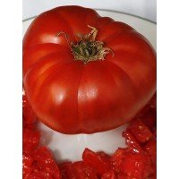 Насіння томату Бренді Вайн червоний 30 шт