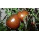 Tomato seeds Oxheart Black (15 seeds)
