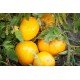 Tomato seeds Your Majesty 15 seeds