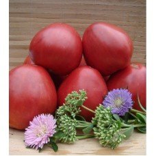 Tomato seeds Velmozh 15 pcs