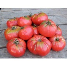 Tomato seeds Jurmala 15 seeds