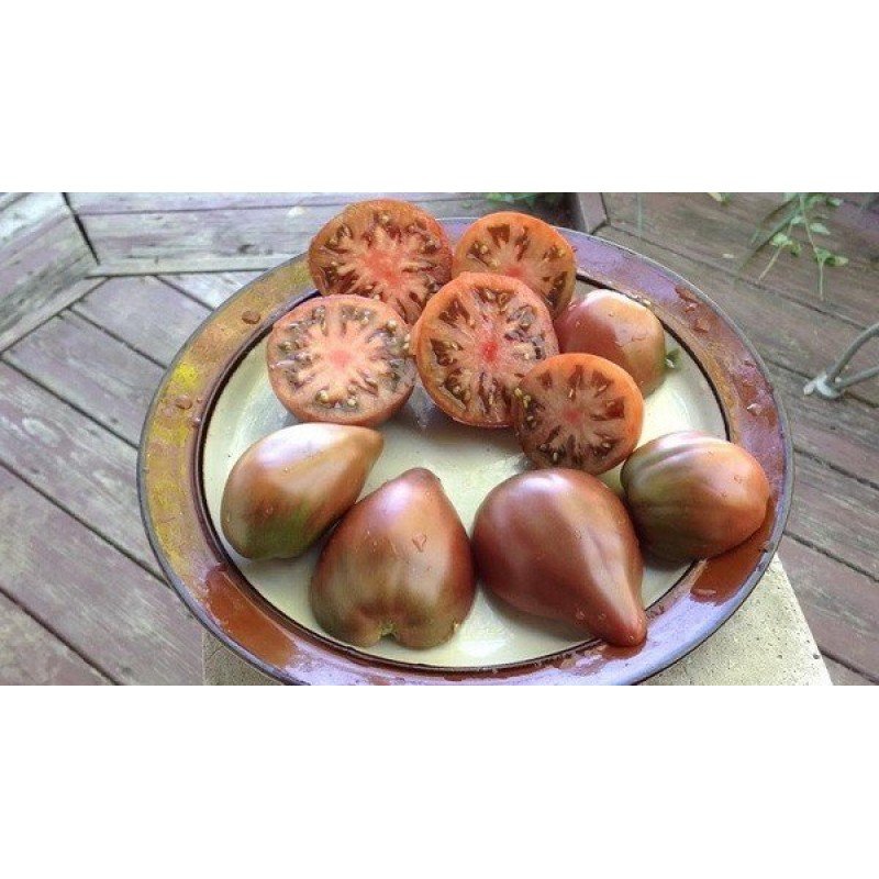 Гном фіолетове серце (Dwarf Purple Heart) 10 насінин