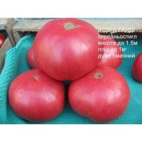 Indira Gandhi Tomato Seeds 30 Seeds