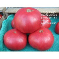 Indira Gandhi Tomato Seeds 30 Seeds