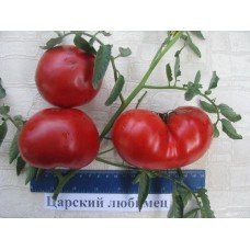 Tomato seeds Tsar's favorite 30 us