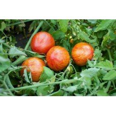 Tomato seeds Bulgarian pearls 30 pcs
