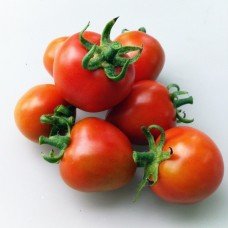 Washington tomato seeds 30 us