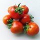 Washington tomato seeds 30 us