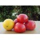 Tomato seeds Black Sea Giant 30 pcs