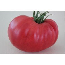 Насіння томату Гігант Болгарії 15 шт
