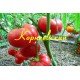 Tomato seeds Kornievsky 30 pcs