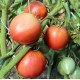 Насіння томату Малиновий ожарівський 30 нас