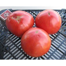 Tomato seeds Mr. Underwood 30 us