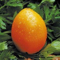 Tomato seeds Melon 15 pcs