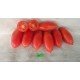 Tomato seeds Seeds from Lazarevs Pink Icicle 0.1 g (15-30 seeds)