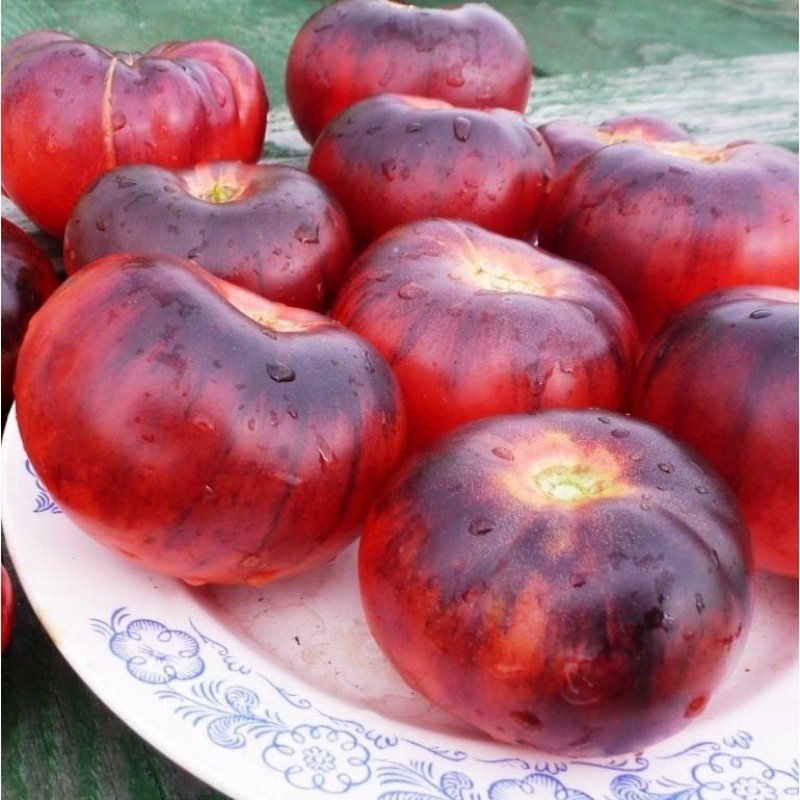 Насіння томату Блакитна красуня (Blue Beauty) 15 нас