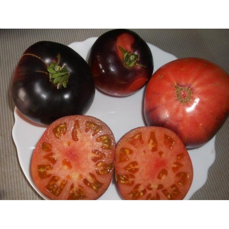 Насіння томату Блакитна красуня (Blue Beauty) 15 нас