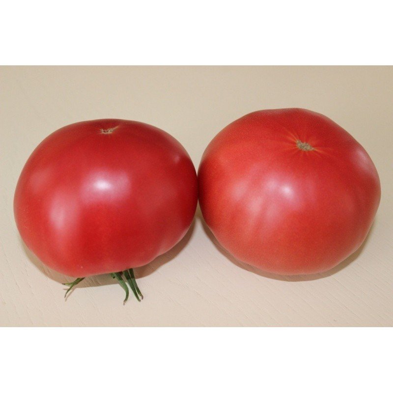 Tomato seeds Julia's Child 10 us