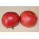 Tomato seeds Julia's Child 10 us