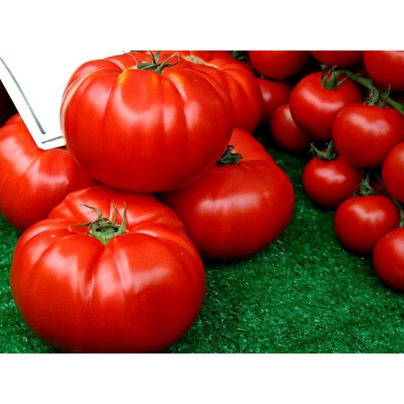 Tomato seeds Cherven Gradinski (Bulgaria) 15 seeds