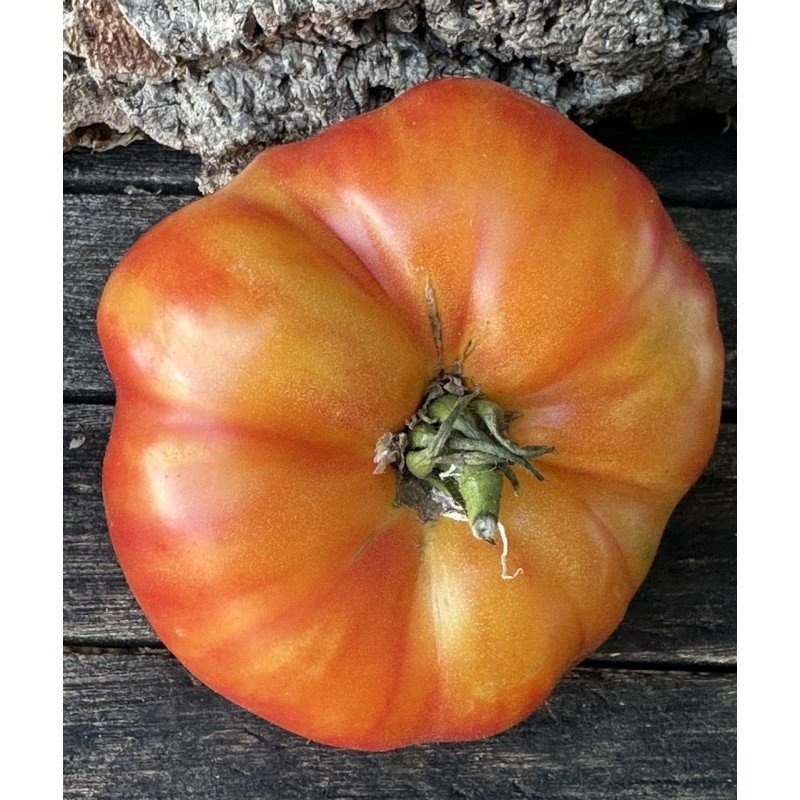 Tomato seeds Southern Pride (Southern Pride) 15 seeds