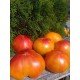 Tomato seeds Southern Pride (Southern Pride) 15 seeds