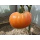 Tomato seeds Southern Pride (Southern Pride) 15 seeds