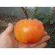 Tomato seeds Southern Pride (Southern Pride) 15 seeds