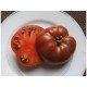 Tomato seeds Schwarz Sarah 15 us