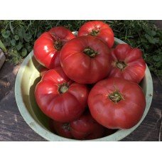 Tomato seeds Yusupovsky 15 seeds