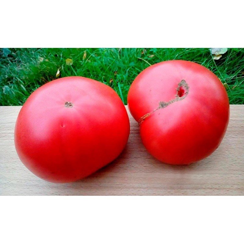 Tomato seeds Yusupovsky 15 seeds