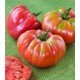 Tomato seeds "from Lazarev" Spanish giant 30-60 seeds