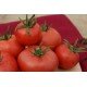 Насіння томату Суперурожайний 30 нас