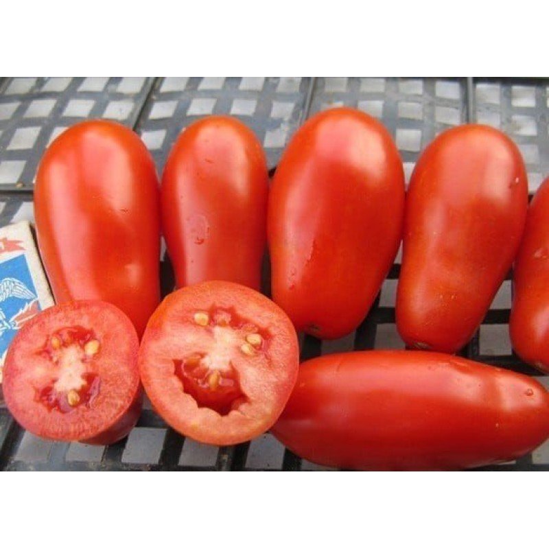 Tomato seeds French grape 30 pcs