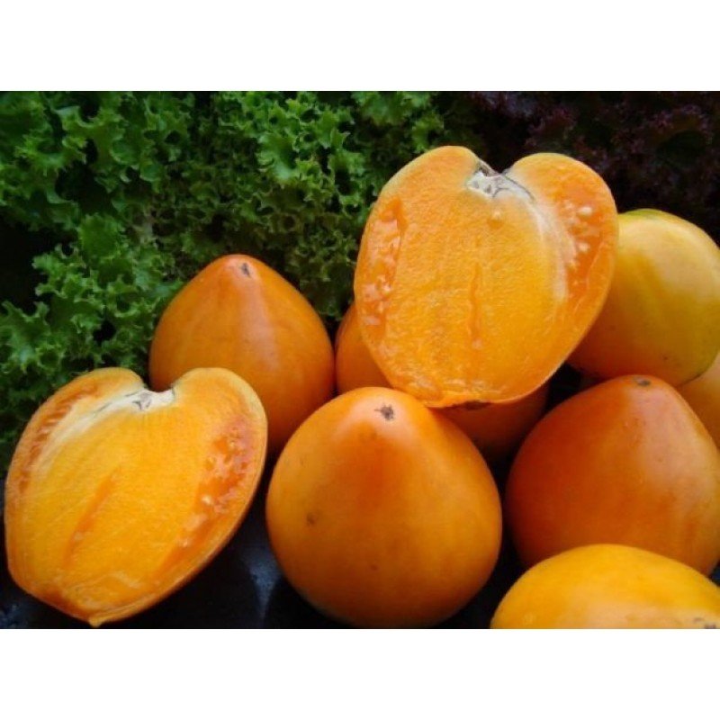 Tomato seeds "from Lazarev" Golden Heart (elite) 15-30 seeds