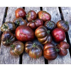 Tomato seeds Dwarf Thongs 10 seeds
